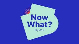 Introducing Now What? by Wix