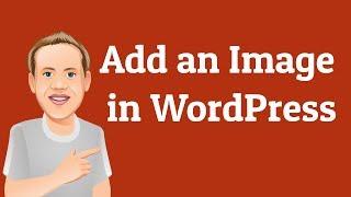 How to Add an Image to a WordPress Website