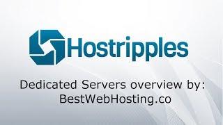 HOSTRIPPLES DEDICATED SERVERS - Cheap but Powerful Dedicated Hosting - overview by BestWebHosting.co