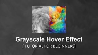 Grayscale Hover Effect - Tutorial For Beginners