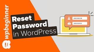 How to Recover a Lost Password in WordPress