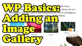 Wordpress Basics: Adding an Image Gallery Tutorial