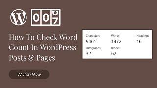 How To Check Word Count In WordPress Posts & Pages