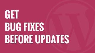 How to Get Bug Fixes in WordPress Before the Next Core Update