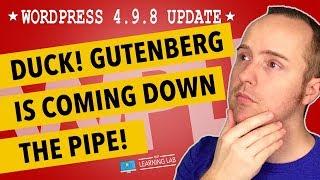 WordPress 4.9.8 Update Presents The "Try Gutenberg" Button