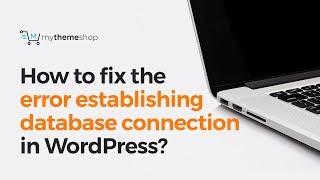 How to fix the error establishing database connection in WordPress?