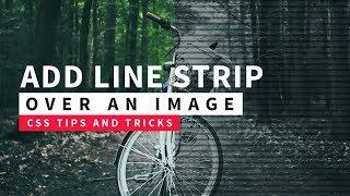 Add Line Strip Over An Image | Quick CSS Tips and Tricks