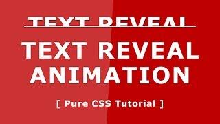 Css3 Text Reveal Animation - Pure CSS Tutorials