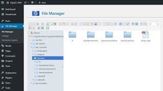 How To Install WordPress Themes Via File Manager FTP Without Host Access