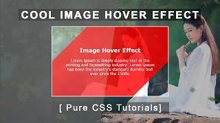 Image Overlay Hover Effects With CSS3 - Pure Css3 Hover Effects - Tutorials - Plz SUBSCRIBE Us
