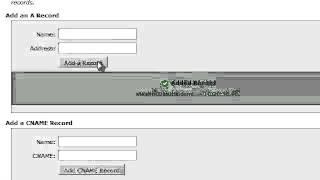 Creating A records and CNAME records in cPanel