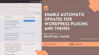 How to Enable Automatic Updates for WordPress Plugins and Themes?