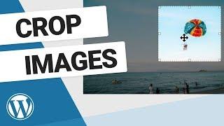 How to Crop Images in WordPress