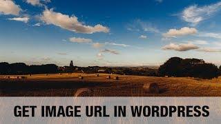 How to Get the URL of Images You Upload in WordPress