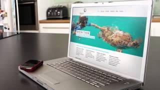 Digital Coconut | GoDaddy Customer Story