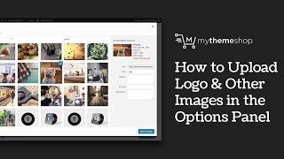 How To Upload Images In WordPress Theme Options Panel