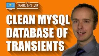 Database Cleaner Plugin That Removes Expired Transients | WP Learning Lab