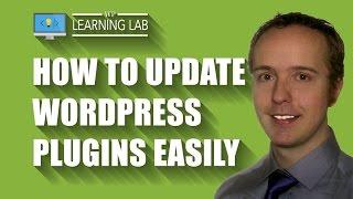 Update WordPress Plugins via the Plugins Panel | WP Learning Lab