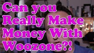 Can you REALLY MAKE MONEY with a Woozone Amazon Affiliate site? BEERSHIRTS UPDATE!