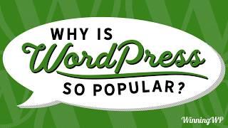 Why Is WordPress So Popular? What Makes It So Great?