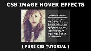 Css Image Hover Effects - Slide Image On Hover - Html Css Profile card UI Design with hover effects