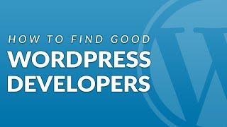 How to Find a Good WordPress Developer for your Project