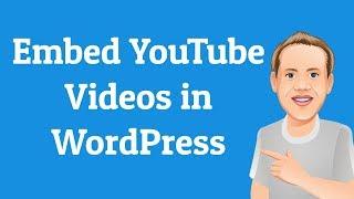 How to Embed a YouTube Video in WordPress | Beginners Series