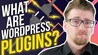 What Are WordPress Plugins - Everything You Didn't Know! [2020]