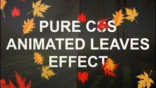 Pure CSS Leaves Animation Effects - Latest Html and CSS Animation Effect Tutorial