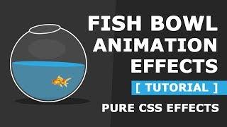 Pure CSS Fish Bowl Animation Effects - Latest Html and CSS Animation Effects Tutorial