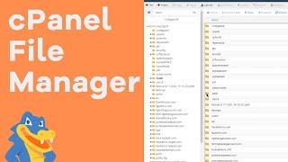 How to Use File Manager in cPanel - HostGator Tutorial