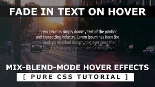 Fade In Text Hover Effect - CSS mix-blend-mode - Html5 CSS3 Hover Effects