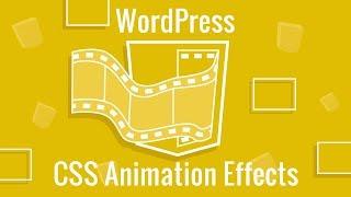 CSS Animations in WordPress
