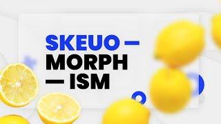Skeuomorphism & Realism in UI Design | TemplateMonster