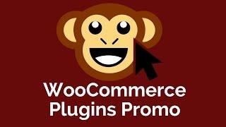 Woo Plugins - A Guide on the Best Plugins for WooCommerce Promo