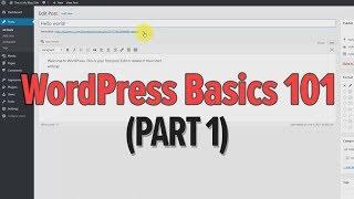 Learn WordPress Basics 101  (Part 1) - Posts vs. Pages