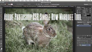 Adobe Photoshop CS6 Single Row Marquee Tool