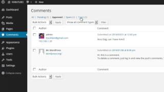 Managing Comments Inside of WordPress