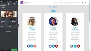 How To Create a Team Members Page With Elementor WordPress Plugin Free?
