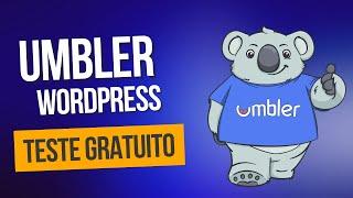 Como Instalar o WordPress na Umbler (Teste Gratuito)
