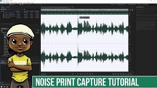 Adobe Audition Tutorial: How To Use Noise Print Capture and  Noise Reduction