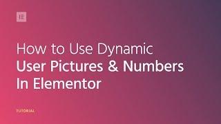 Advanced Tutorial: How to Use Dynamic User Profile Pictures & Dynamic Numbers in Elementor