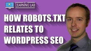 Check The Robots.txt File For Potential WordPress SEO Issues | WP Learning Lab