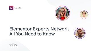 Elementor Experts: All You Need to Know