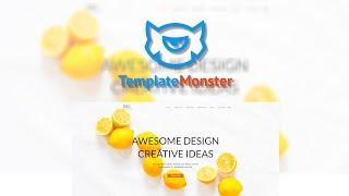 Olins Multi Niche WordPress Theme #65700