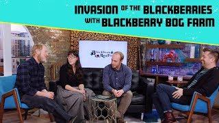 Discover What It’s Really Like to Own and Operate Blackberry Bog Farm