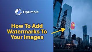 How to Add Watermarks to Your Images in Optimole [2022]