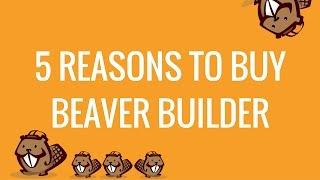 5 Amazing Reasons to buy Beaver Builder Page Builder Plugin for WordPress