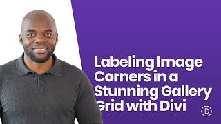 Labeling Image Corners in a Stunning Gallery Grid with Divi
