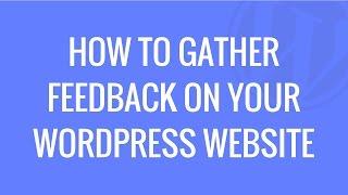 How to setup a feedback pop-up on your WordPress website